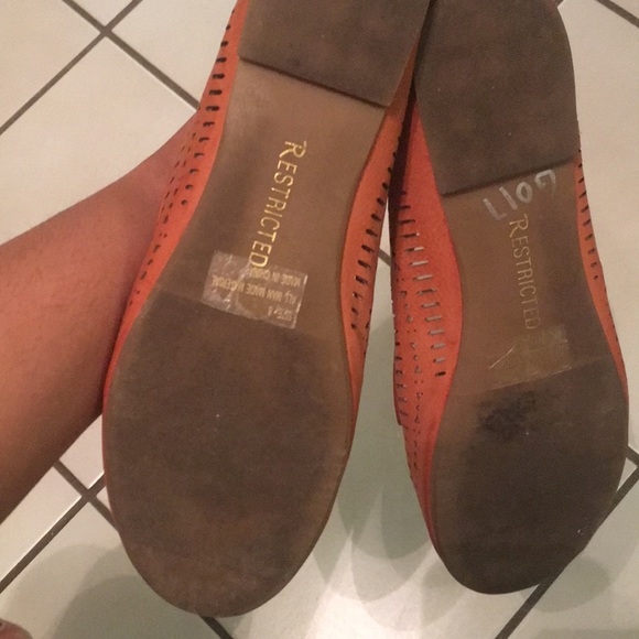 Restricted flats 8 - Picture 4 of 4